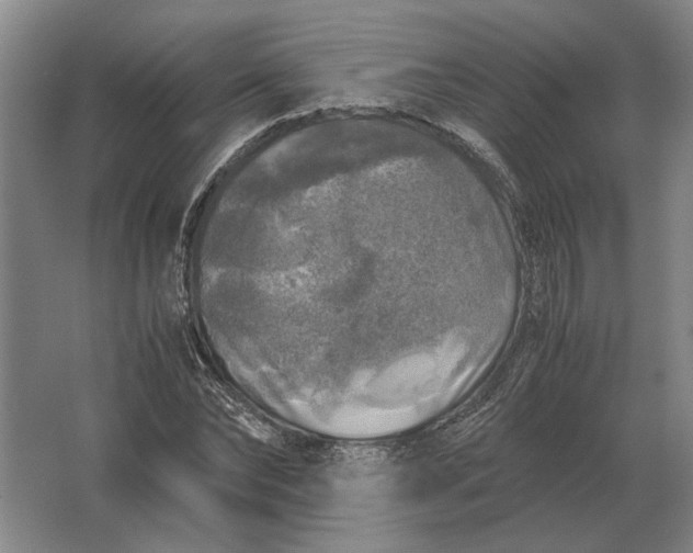 X0000062920878200601271802