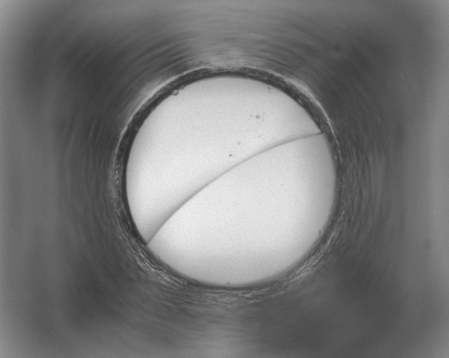 X0000062920879200601271802