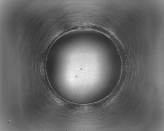 X0000062920881200601271802