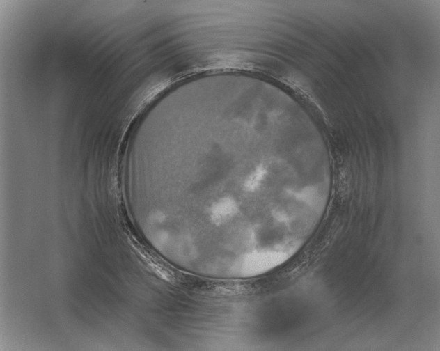 X0000062920882200601271802