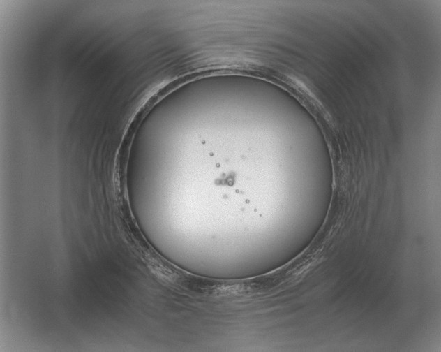 X0000062920883200601271802