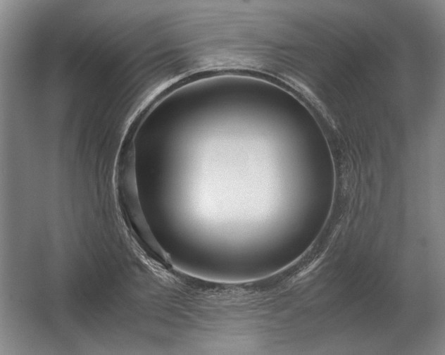 X0000062920885200601271802