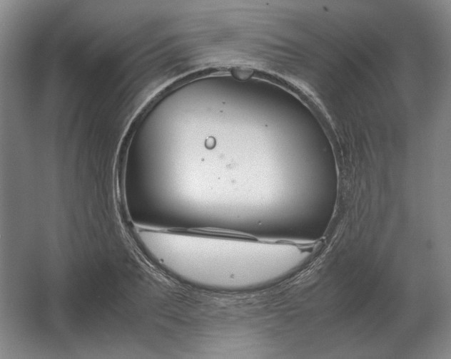 X0000062920887200601271802