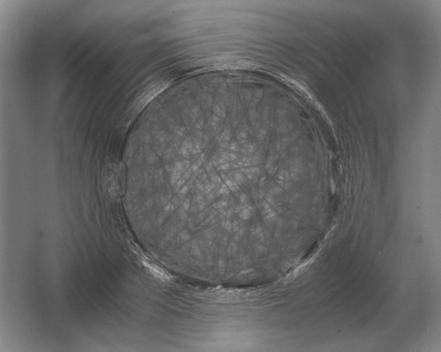 X0000062920889200601271802