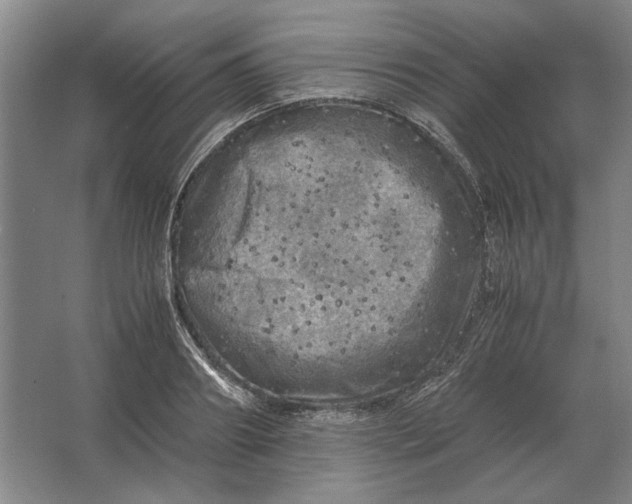 X0000062920890200601271802