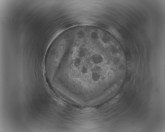 X0000062920891200601271802