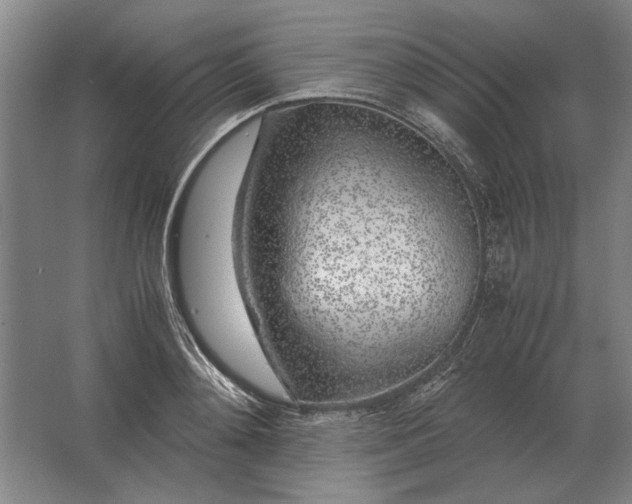 X0000062920892200601271802