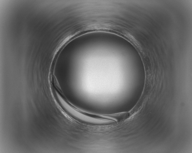 X0000062920893200601271802