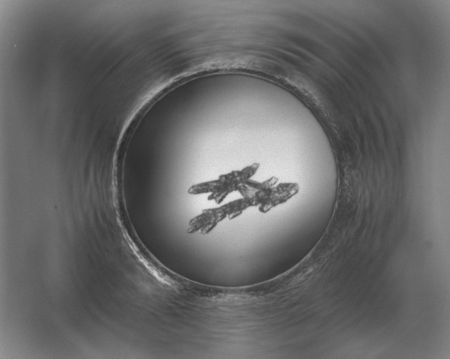 X0000062920894200601271802