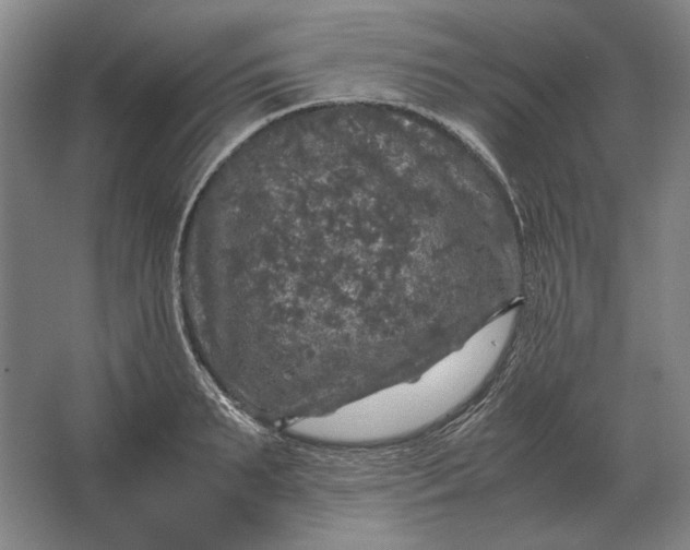 X0000062920895200601271802