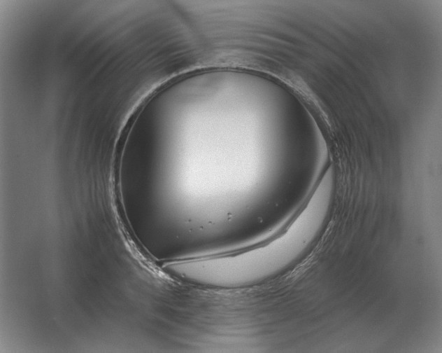 X0000062920896200601271802