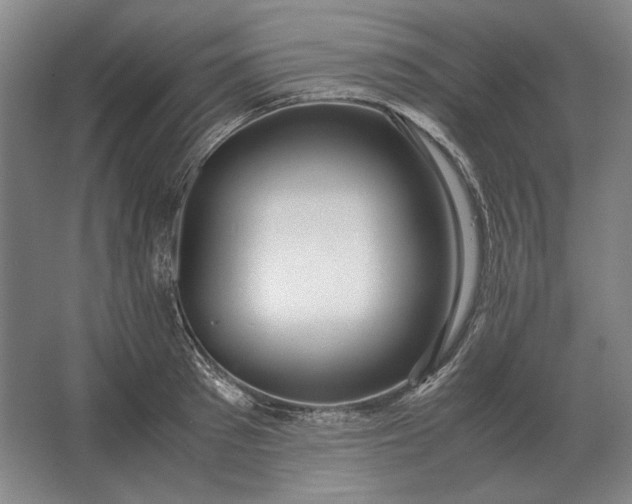 X0000062920897200601271802