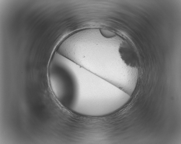 X0000062920899200601271802