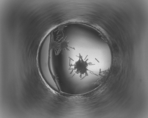 X0000062920902200601271802