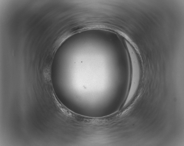 X0000062920905200601271802