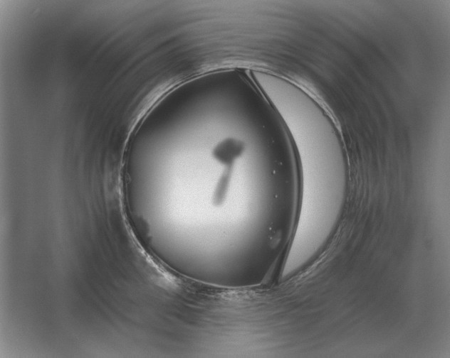 X0000062920906200601271802