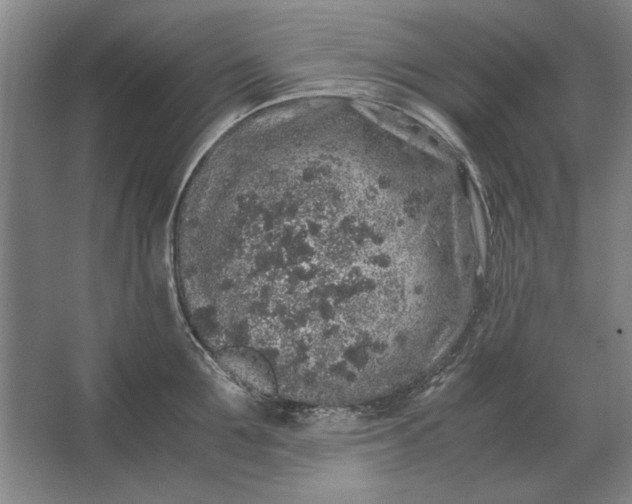 X0000062920907200601271802