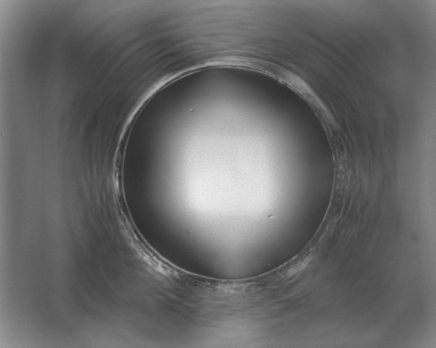 X0000062920908200601271802