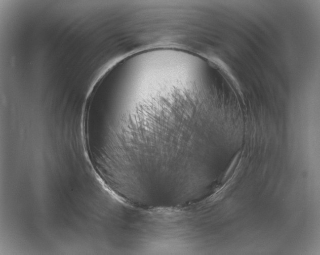 X0000062920910200601271802