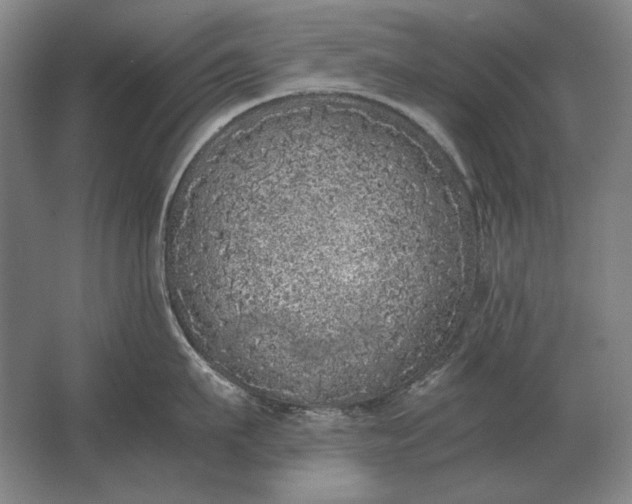 X0000062920911200601271802