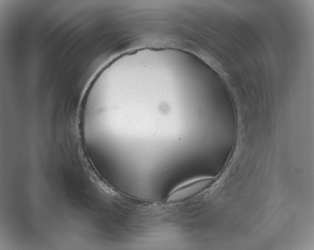 X0000062920912200601271802