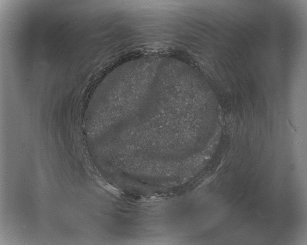 X0000062920913200601271801