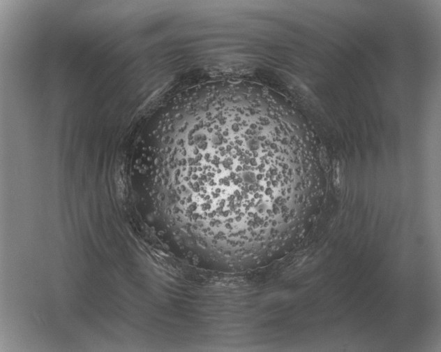 X0000062920915200601271801