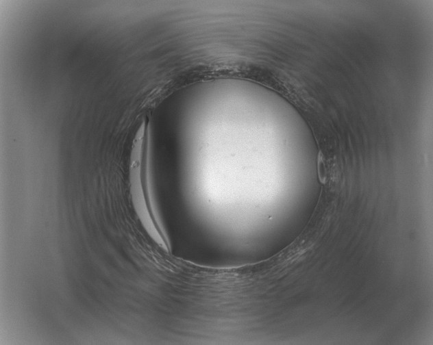 X0000062920916200601271801