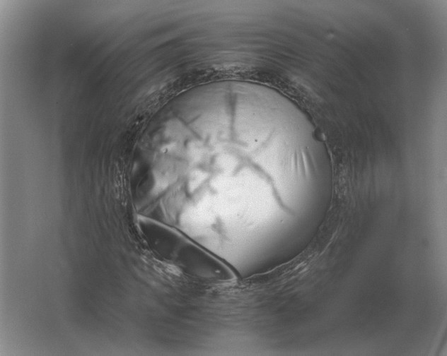 X0000062920917200601271801