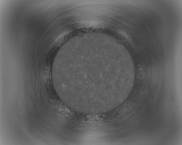 X0000062920918200601271801