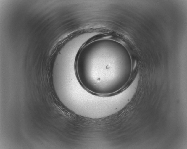 X0000062920920200601271801