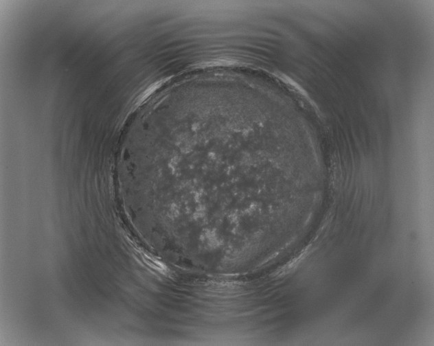 X0000062920921200601271801