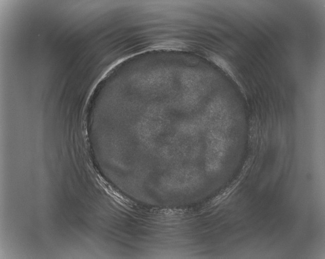 X0000062920923200601271801