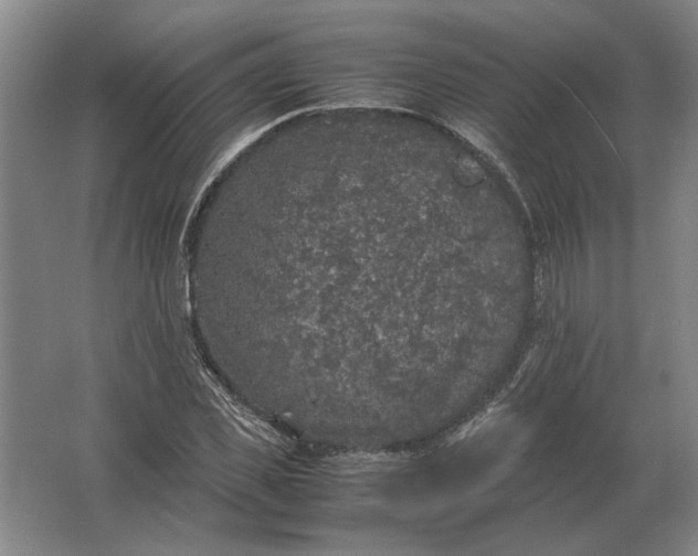 X0000062920925200601271801