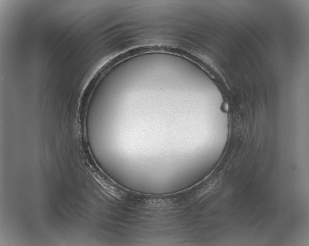 X0000062920927200601271801