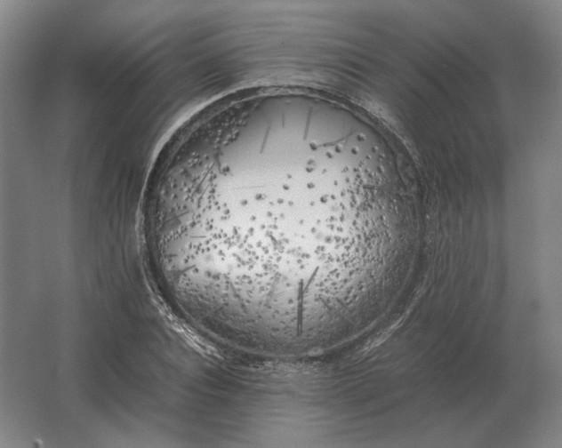 X0000062920928200601271801