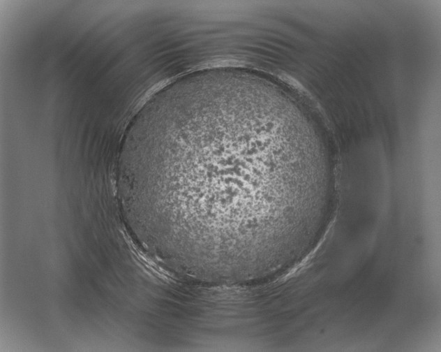 X0000062920929200601271801