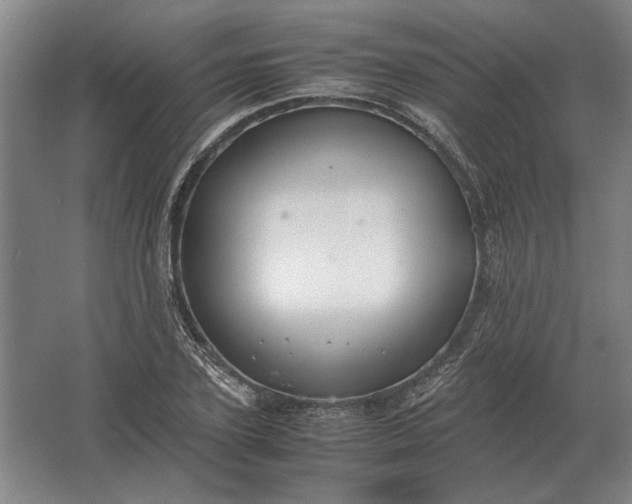 X0000062920931200601271801