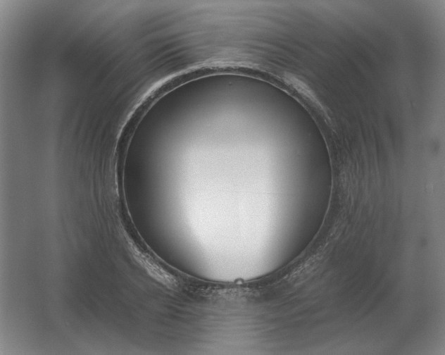 X0000062920934200601271801