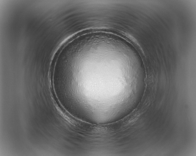 X0000062920935200601271801