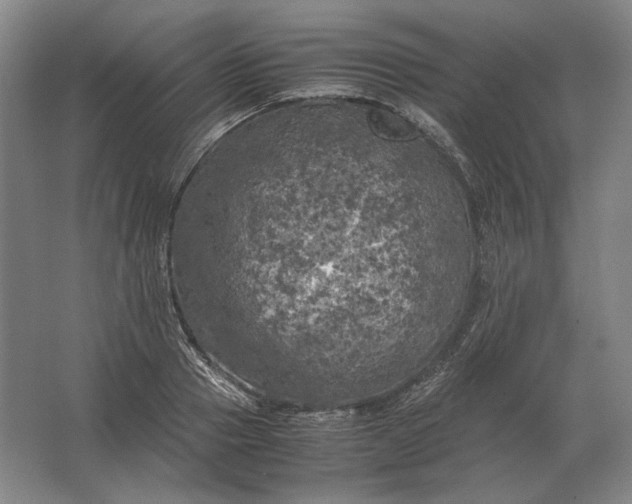 X0000062920937200601271801