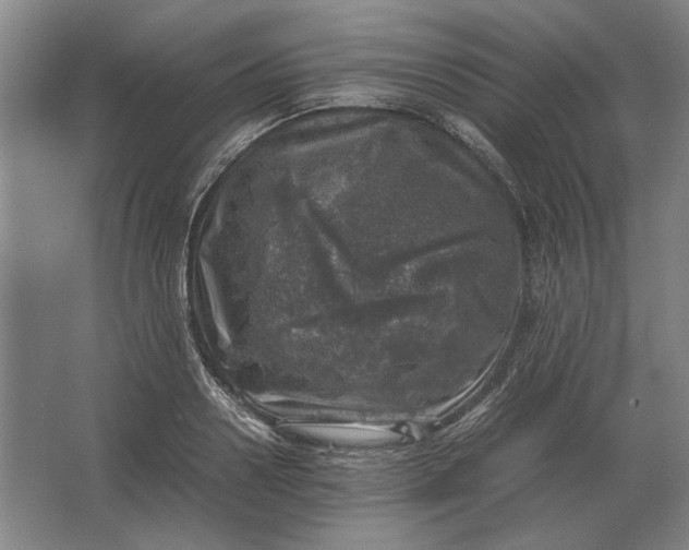 X0000062920938200601271801