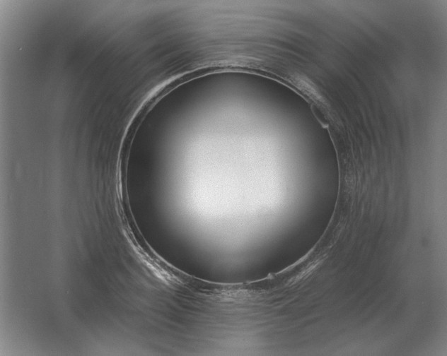 X0000062920940200601271801