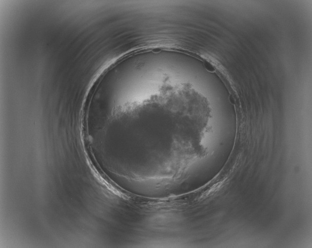 X0000062920941200601271801