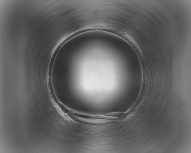 X0000062920944200601271802