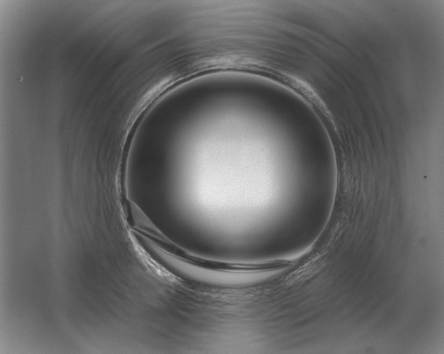 X0000062920946200601271802