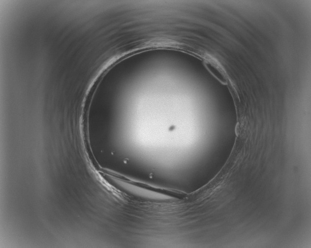 X0000062920947200601271802