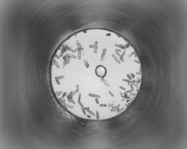 X0000062920950200601271802