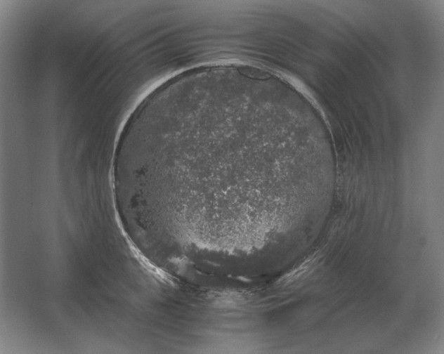 X0000062920951200601271802