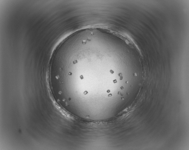 X0000062920952200601271802